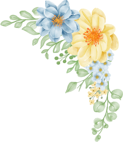 Wedding Photographer in Jaipur